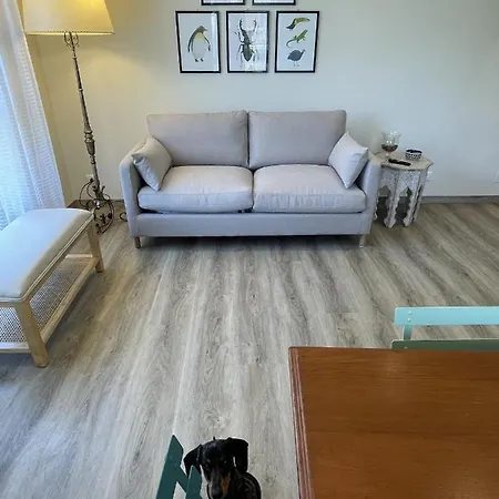 Caprice 2.0 بسكييرا ديل غاردا